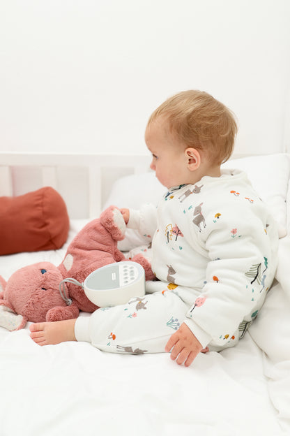 Woodlands Winter Sleep Suit - Toddler